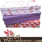 Gift Box T.6 (25x20x8)cm