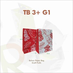 TB 3+ G1