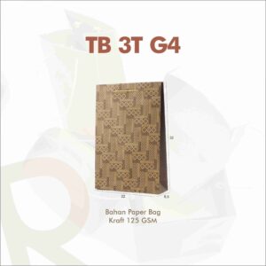 TB 3T G4