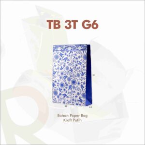 TB 3T G6
